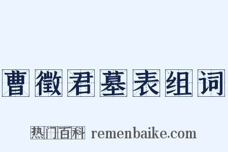 曹徵君墓表组词是什么意思的图片